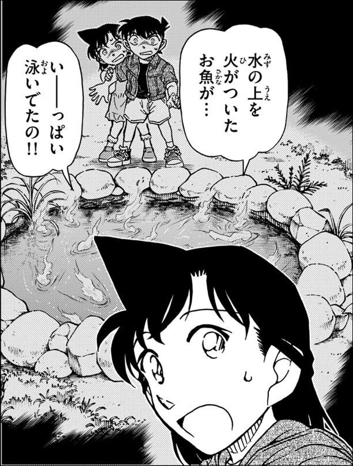 毛利 蘭「水の上を火がついたお魚が…,いーっぱい泳いでたの!!」