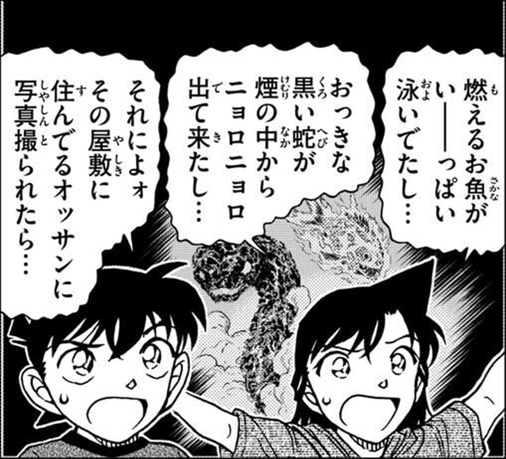 毛利 蘭「燃えるお魚がいーっぱい泳いでたし…
おっきな黒い蛇が煙の中からニョロニョロ出て来たし…」,工藤 新一「それによォその屋敷に住んでるオッサンに写真撮られたら…」