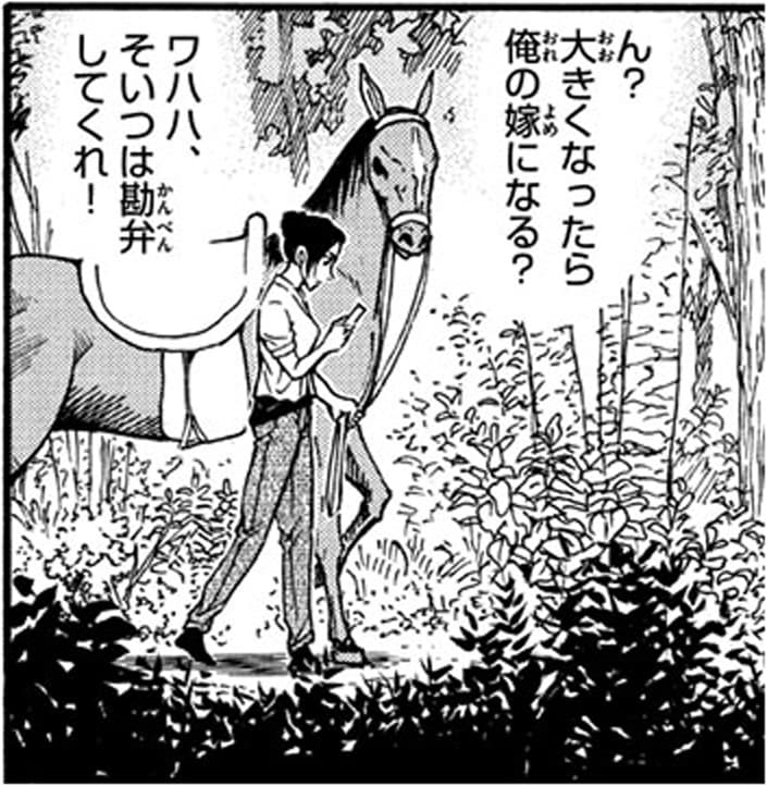 甲斐玄人「ん？俺の嫁になる？
ワハハ、そいつは勘弁してくれ！」